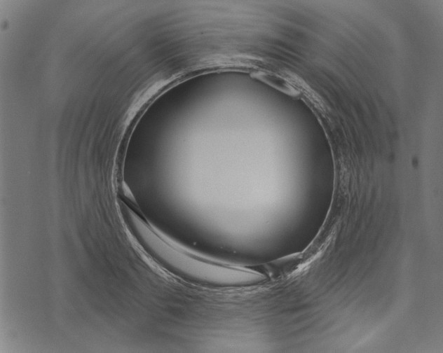 X0000071770893200607211529