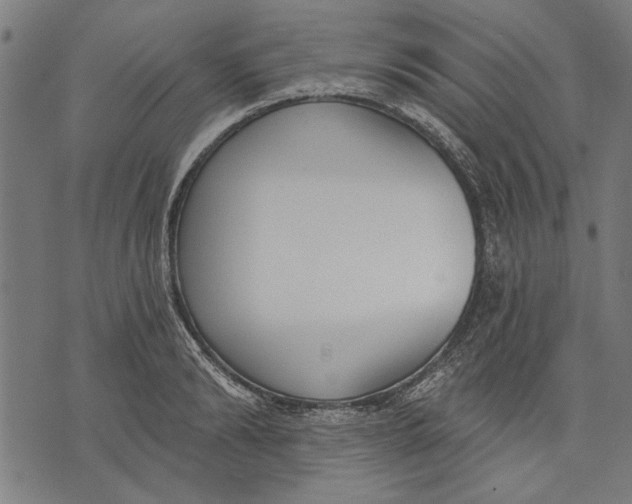 X0000071770894200607211529