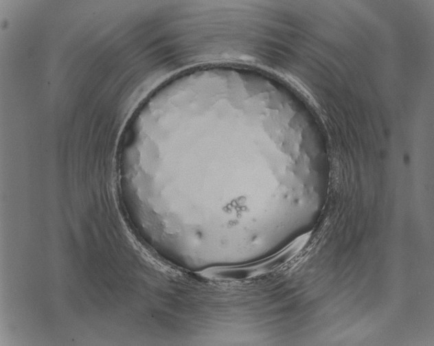 X0000071770895200607211529