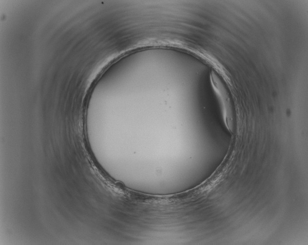 X0000071770896200607211529