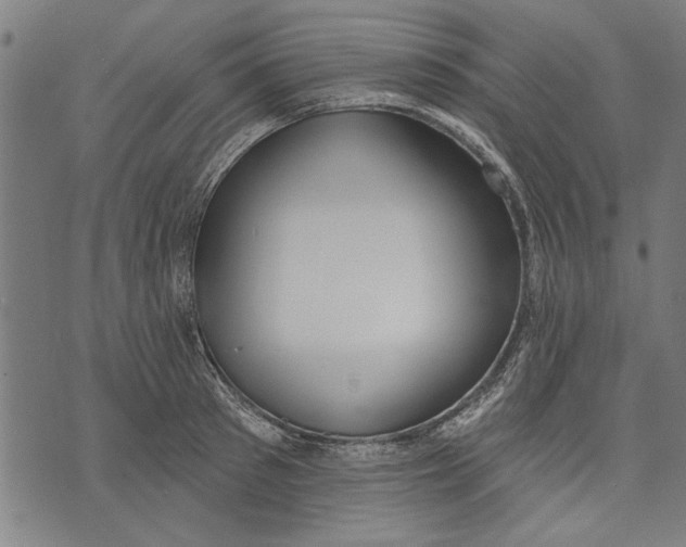 X0000071770897200607211529