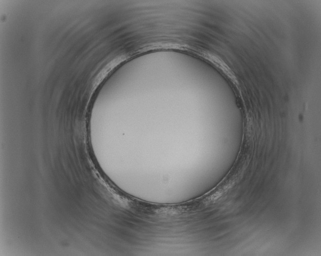 X0000071770898200607211529