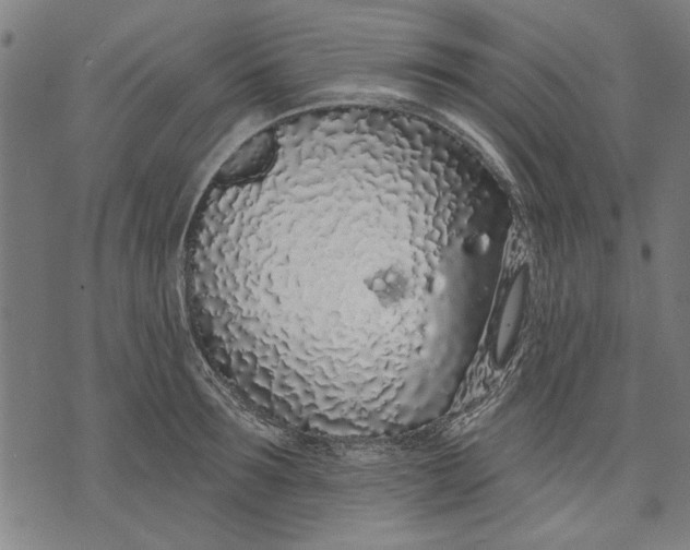 X0000071770899200607211529