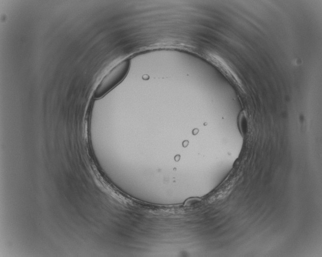 X0000071770900200607211529