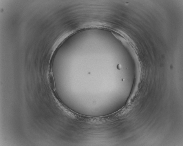 X0000071770901200607211529