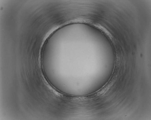 X0000071770902200607211529