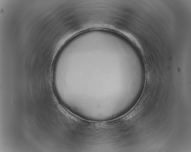 X0000071770903200607211529