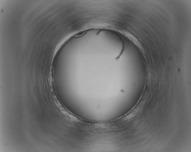 X0000071770904200607211529