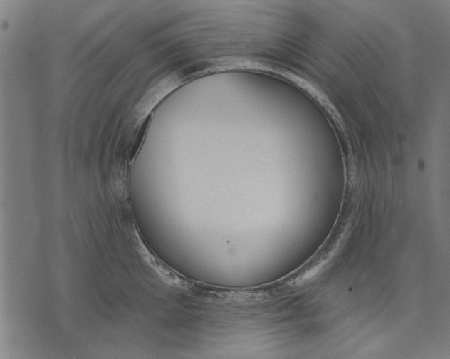 X0000071770905200607211529