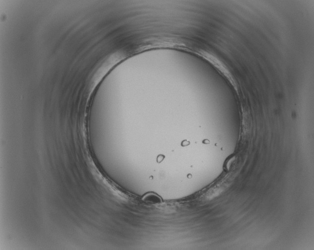 X0000071770906200607211529