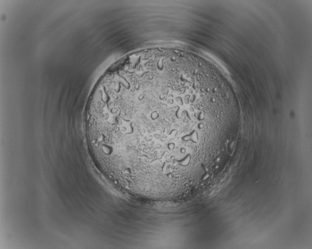 X0000071770907200607211529