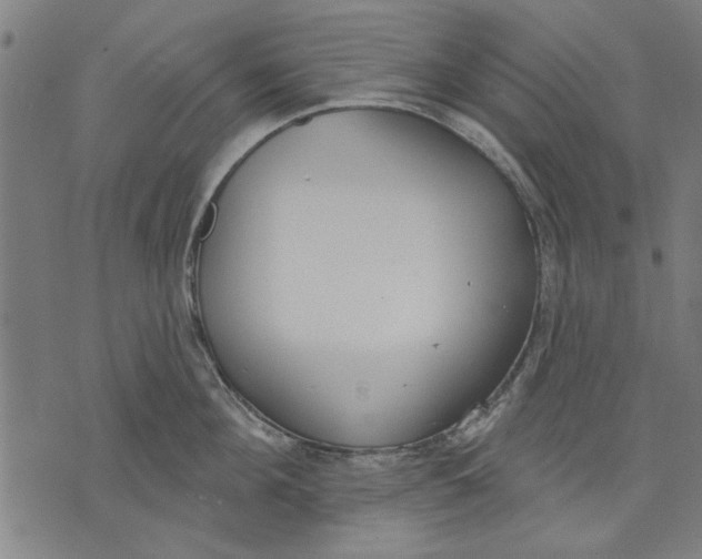 X0000071770908200607211529