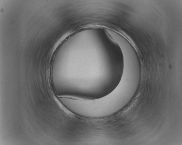 X0000071770909200607211529