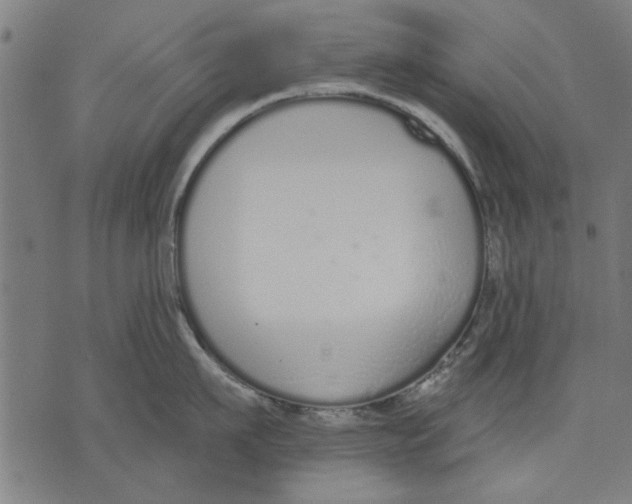 X0000071770911200607211529