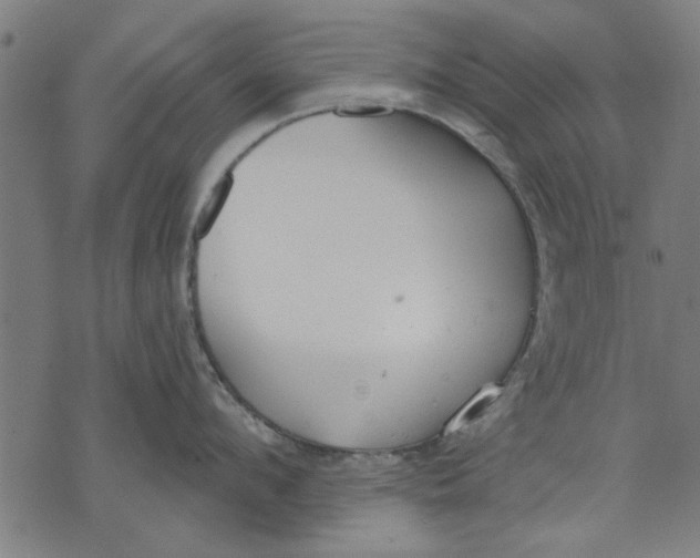 X0000071770912200607211529