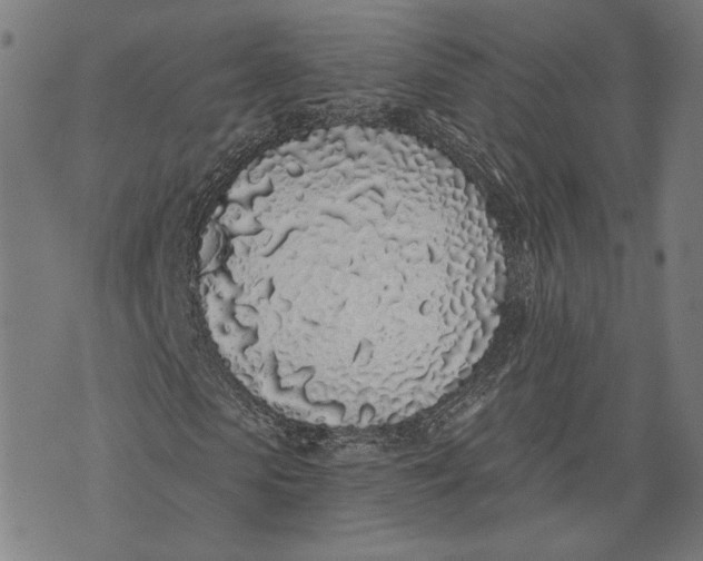 X0000071770913200607211528