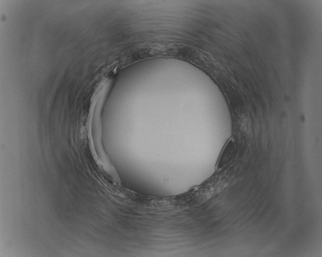 X0000071770914200607211528