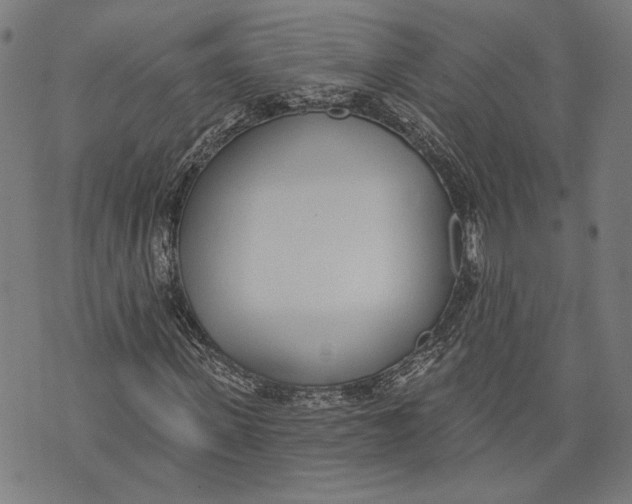 X0000071770915200607211528