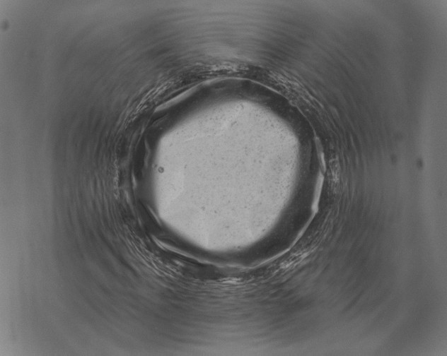 X0000071770916200607211528