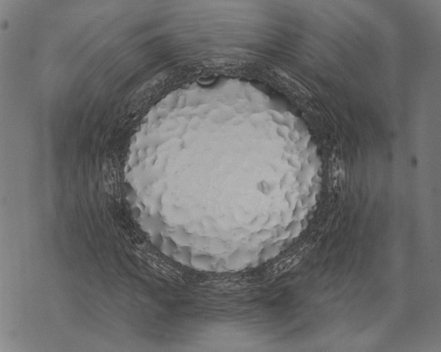 X0000071770917200607211528