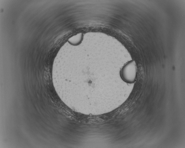 X0000071770918200607211528