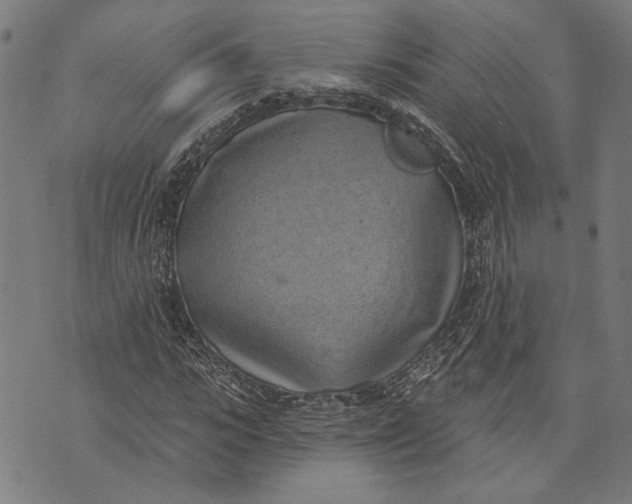 X0000071770919200607211528