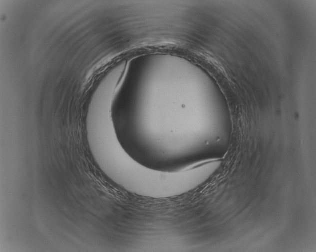 X0000071770920200607211528