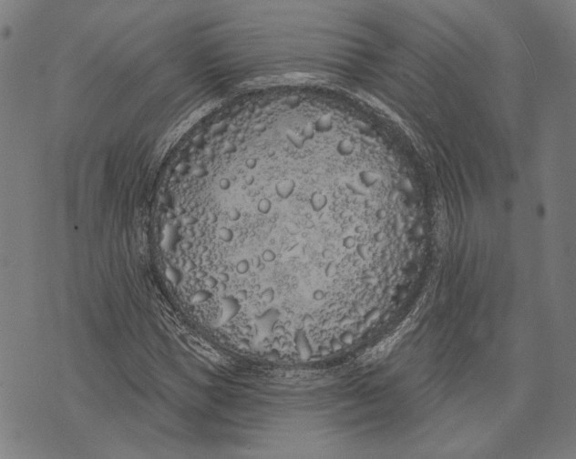 X0000071770921200607211528