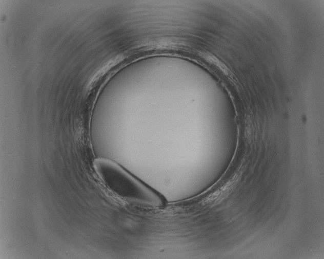 X0000071770922200607211528