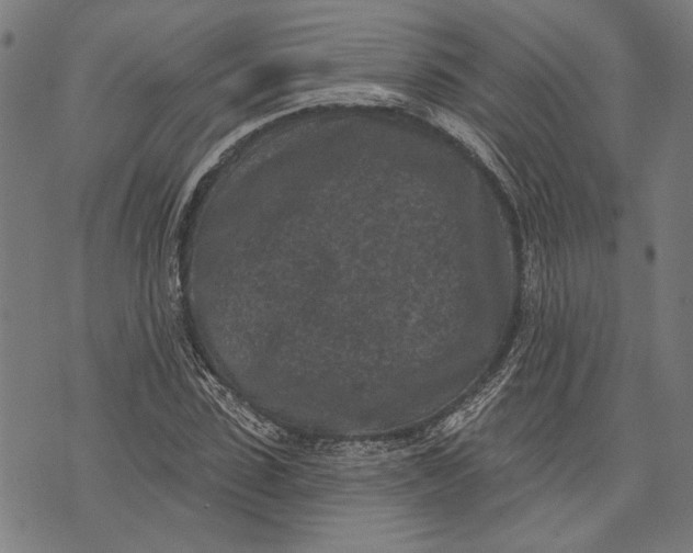 X0000071770923200607211528