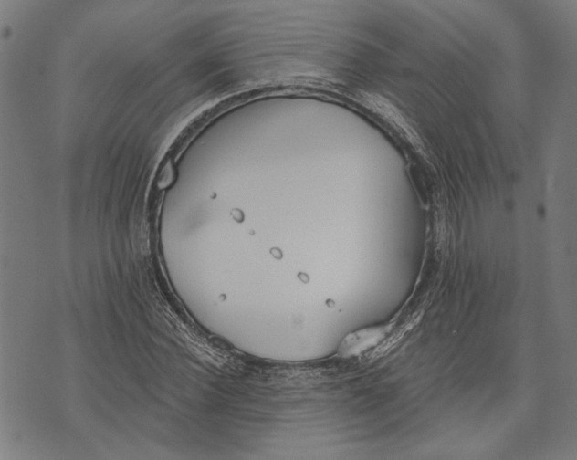 X0000071770924200607211528