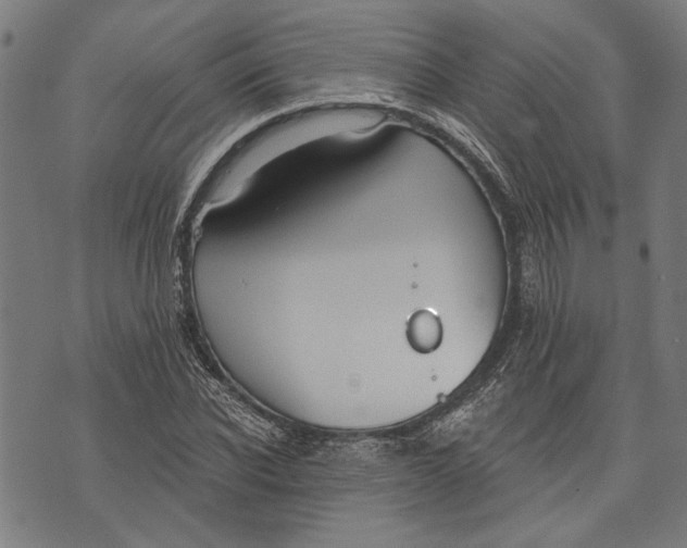 X0000071770926200607211528