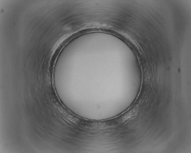 X0000071770927200607211528