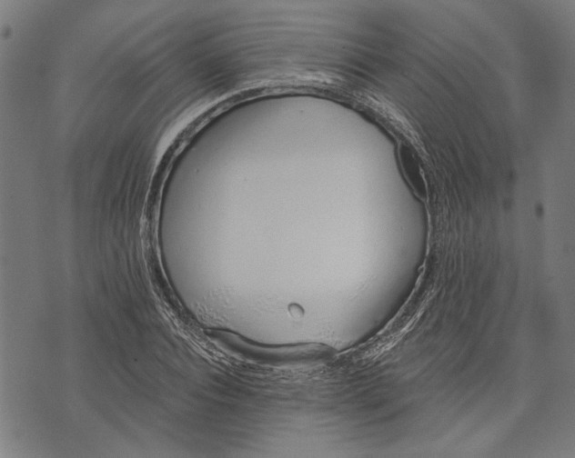 X0000071770928200607211528