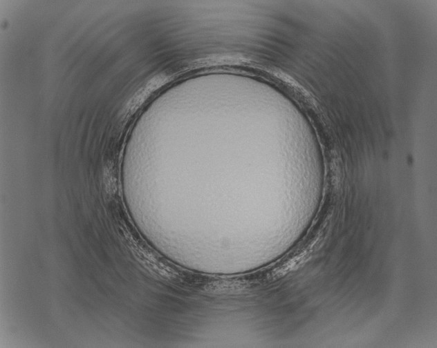 X0000071770929200607211528