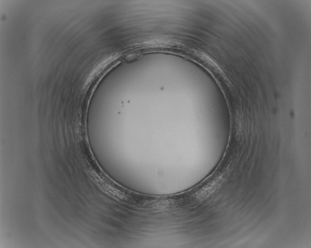 X0000071770930200607211528