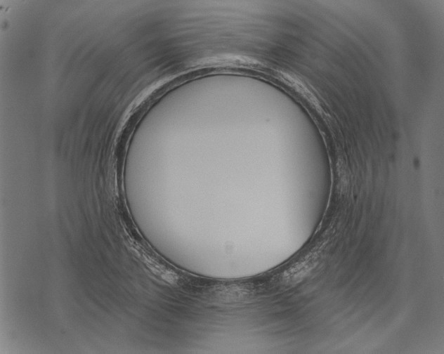 X0000071770931200607211528