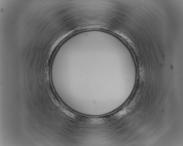 X0000071770933200607211528