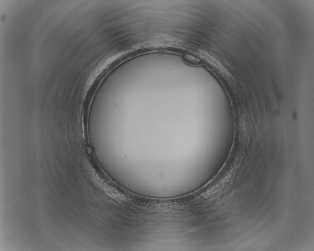 X0000071770934200607211528