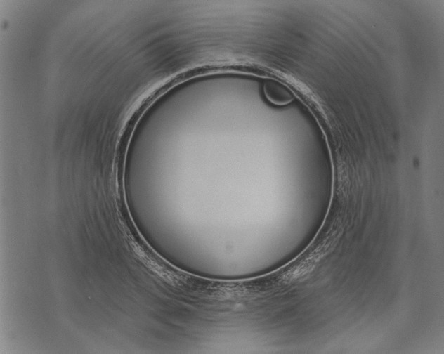 X0000071770935200607211528