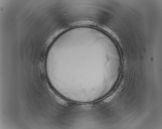 X0000071770937200607211528