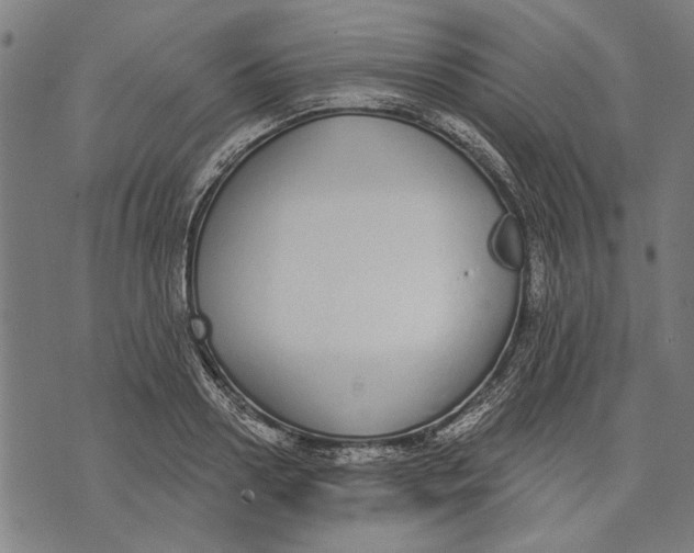 X0000071770938200607211528