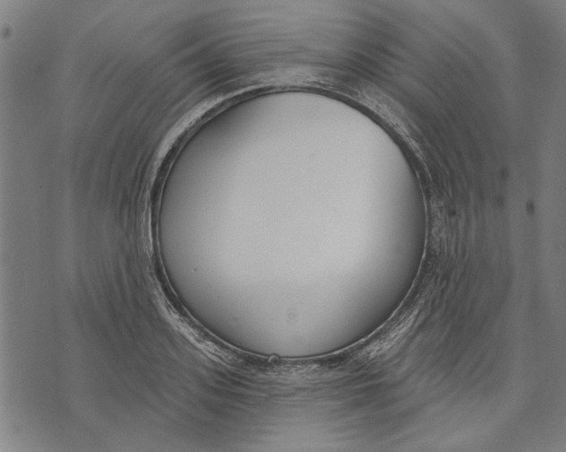 X0000071770939200607211528