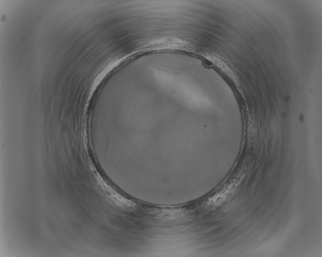 X0000071770941200607211528