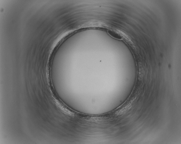 X0000071770942200607211528