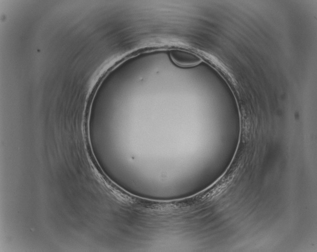 X0000071770943200607211528