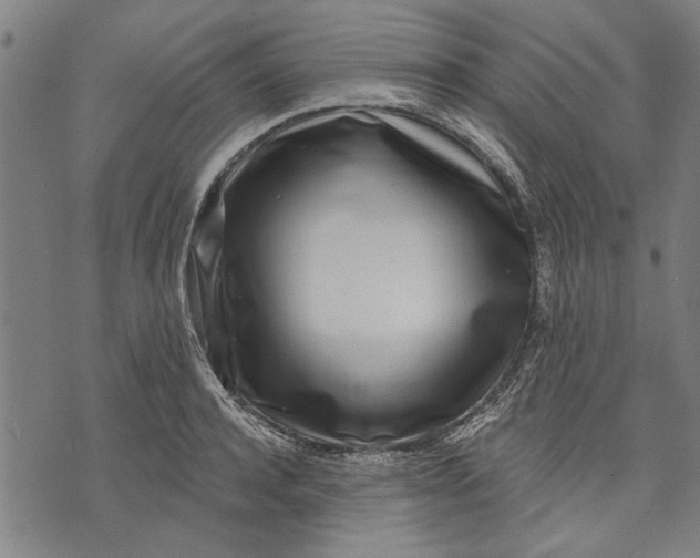 X0000071770944200607211528