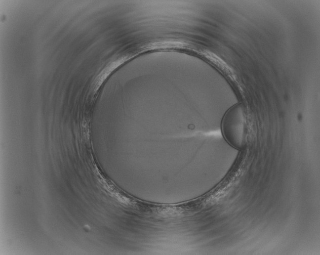 X0000071770945200607211528