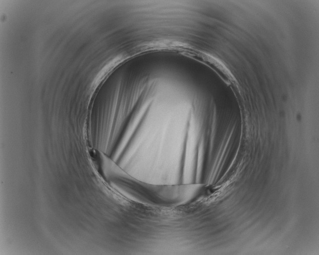 X0000071770946200607211528