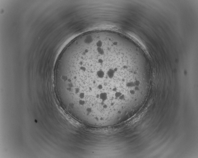 X0000071770948200607211528